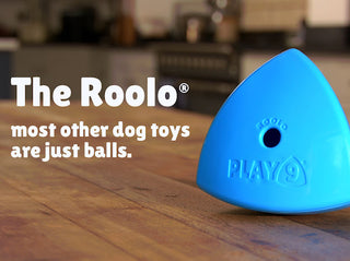 Play9 Roolo Dog Toy