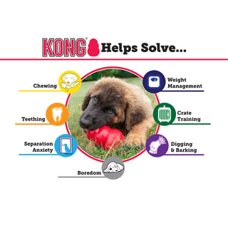 Medium Puppy Kong